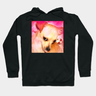 Loki Pokey Hoodie